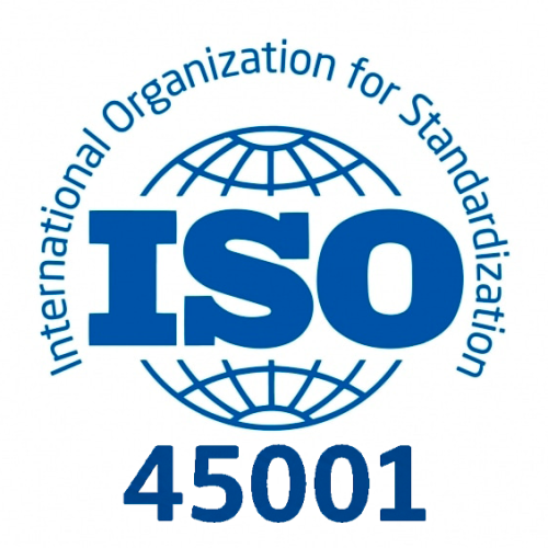 ISO 45001 Seg N°1